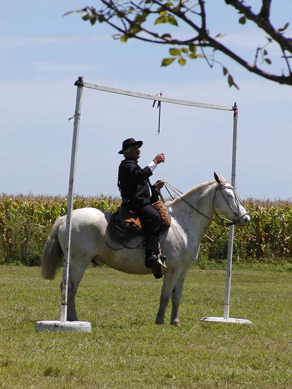 098 Estancia P1010016