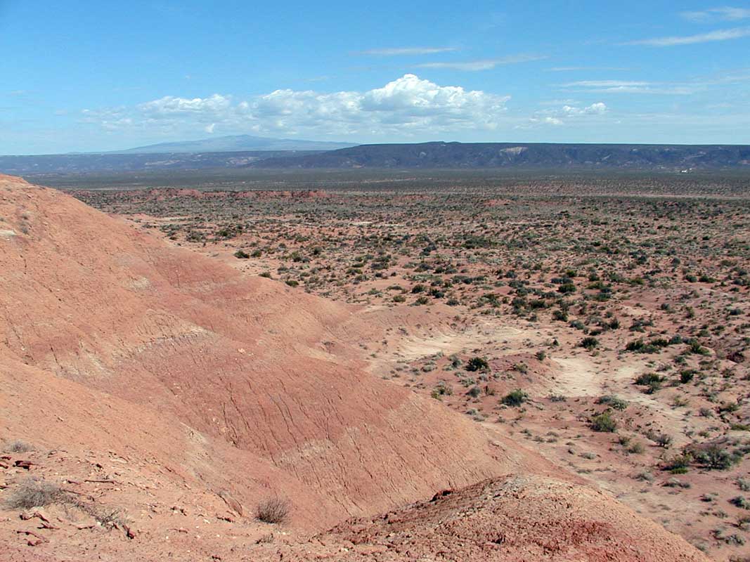 113 Auca Mahuevo P1010071