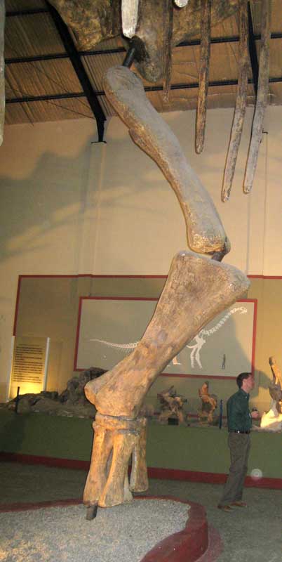 136 Museo Carmen Funes IMG_0096