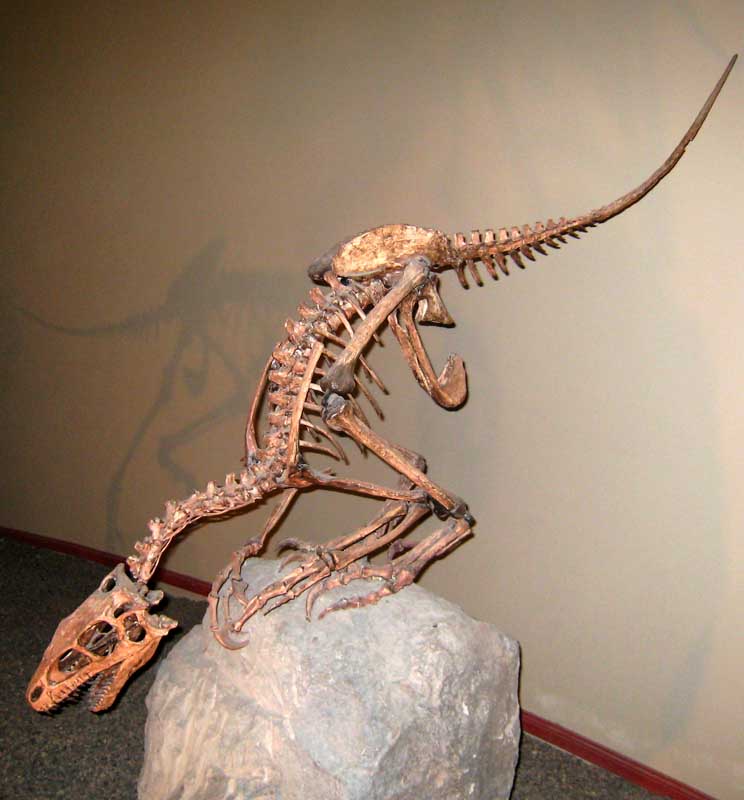 137 Museo Carmen Funes IMG_0094