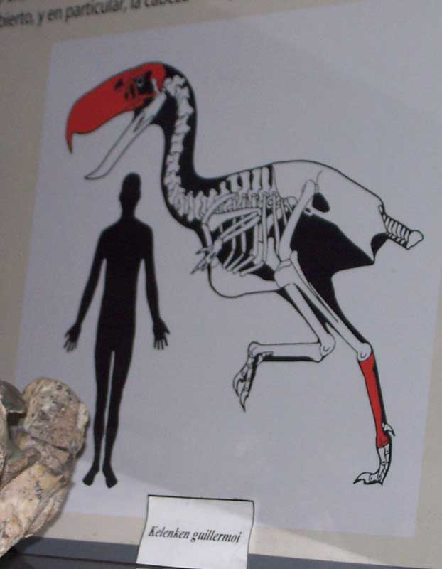 171 Bariloche Museo DCP_2200