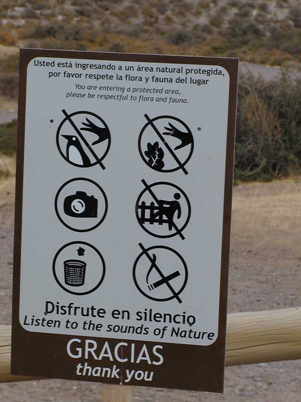 206 Punto Tombo P1010095