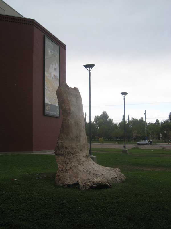 210 Museo Egidio Feruglio IMG_0205