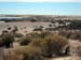 185 Punta Tombo IMG_0173