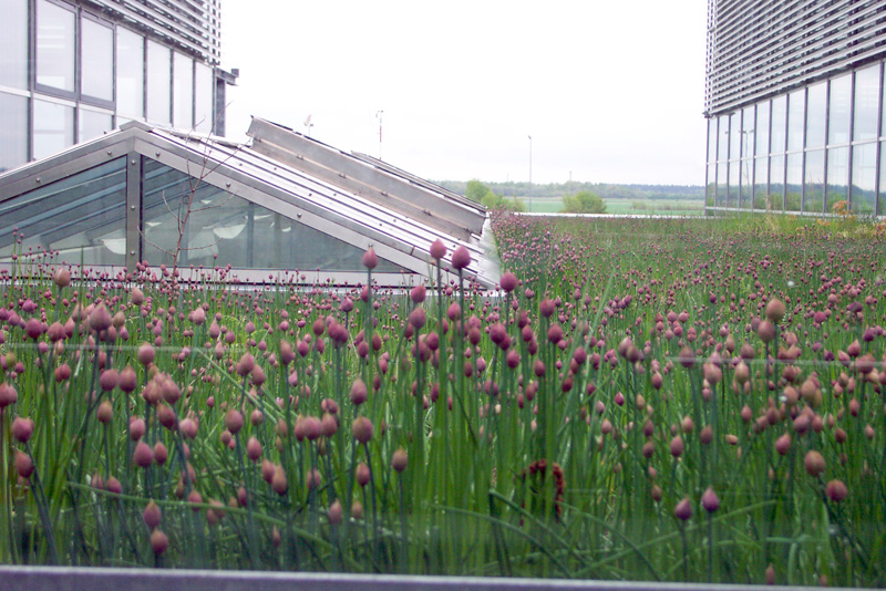 048 Flugwerft Schleissheim DCP_1100a