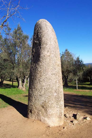 127 Cromeleque dos Almendres Menhir DCP_1729
