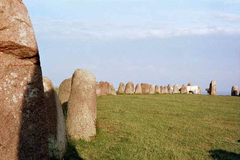 1000 Ales Stennar 20690_04